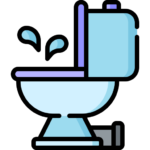 Western Toilets